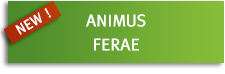 Animus Ferae